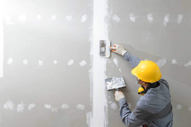 Best Environmental Consulting for Mold Prevention  in Whiskey Creek, FL