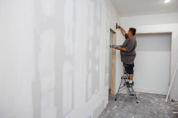 Best Emergency Mold Remediation  in Whiskey Creek, FL