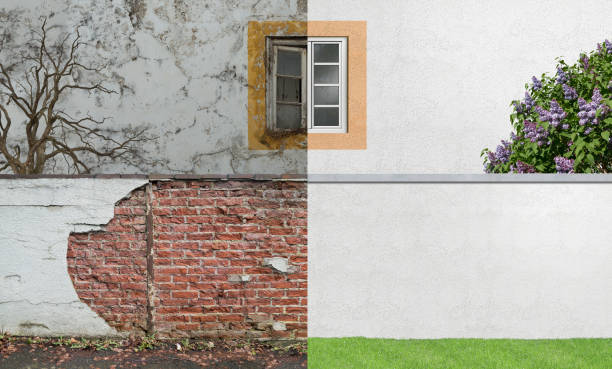 Best Basement Mold Removal  in Whiskey Creek, FL