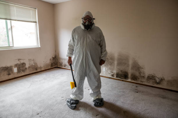 Best Mold Remediation for Healthcare Facilities  in Whiskey Creek, FL