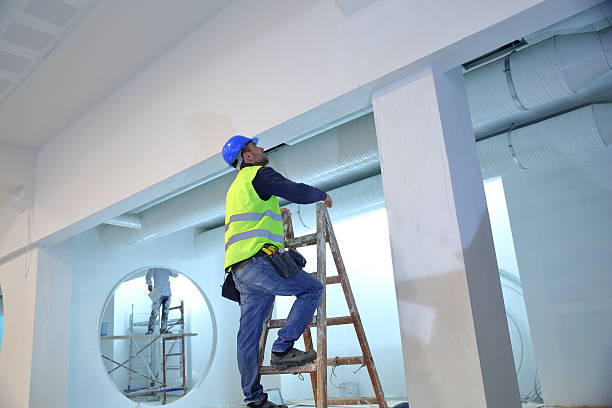  Whiskey Creek, FL Mold Removal Pros