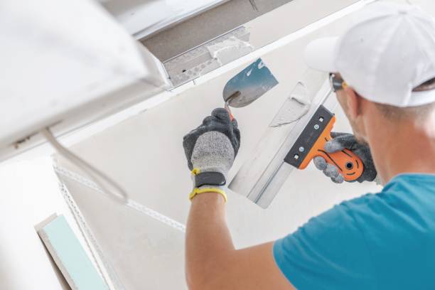 Whiskey Creek, FL Mold Removal Company